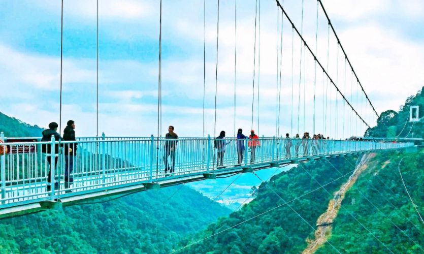 2021五一旅行大數據報告