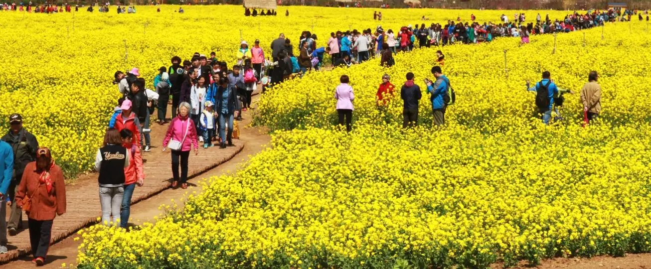 多家旅游在線平臺發報告稱：清明小長假“花式本地游”成主流
